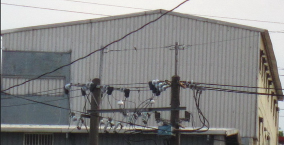 雲林崙背鐵皮屋設計、雲林崙背鐵皮屋搭建；雲林崙背鐵皮屋生產，雲林崙背鐵皮屋施工，雲林崙背鐵皮屋維修，雲林崙背鐵皮屋價格，雲林崙背鐵皮屋售價